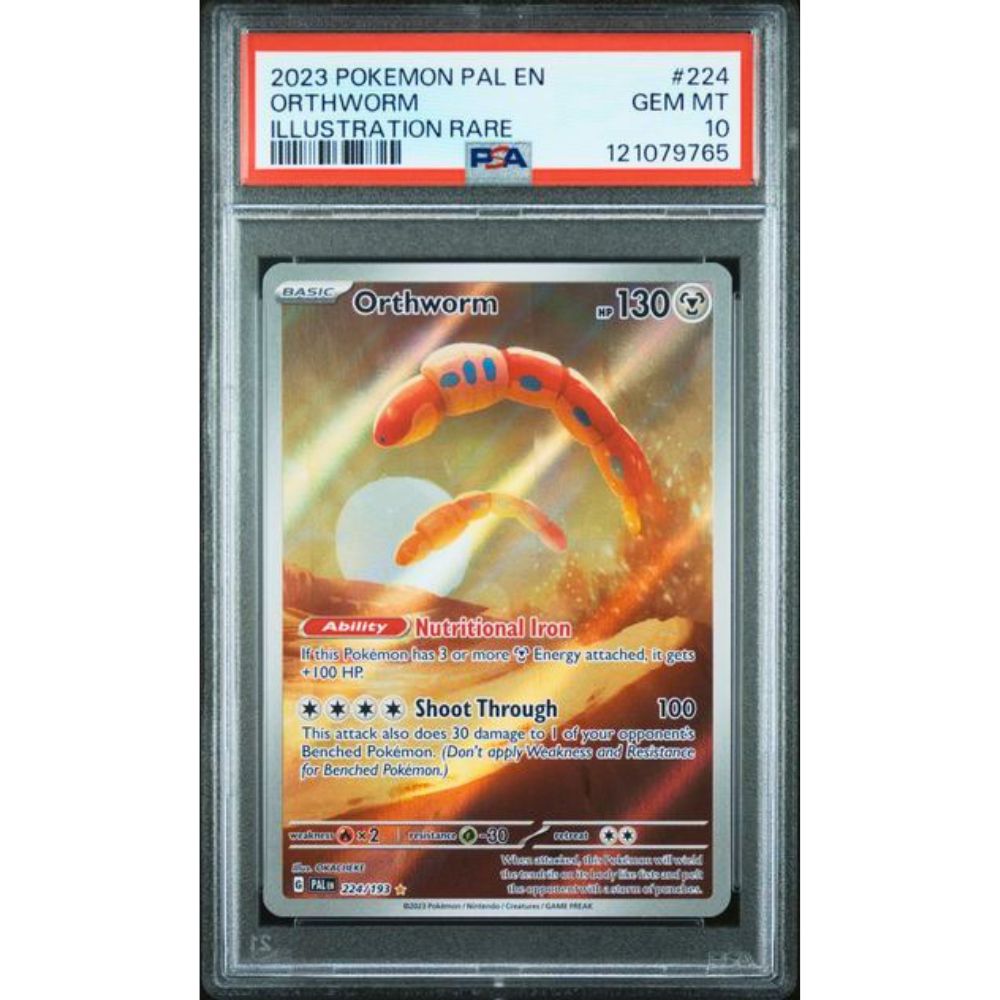 Orthworm AR PSA 10